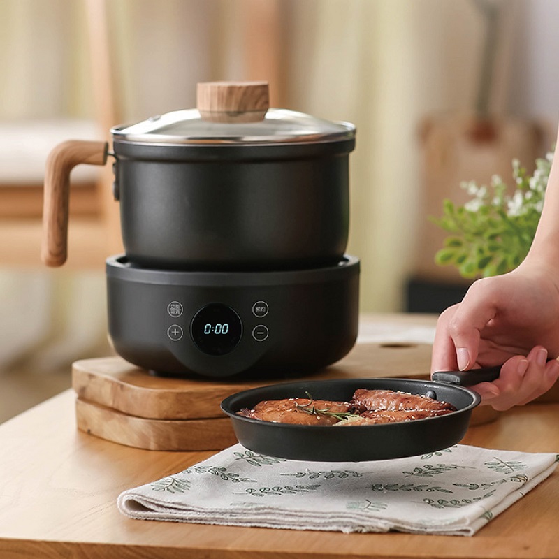 Camping Cooking Rice - 110V/220V Multi-function Electric Cooking Pot Non-stick