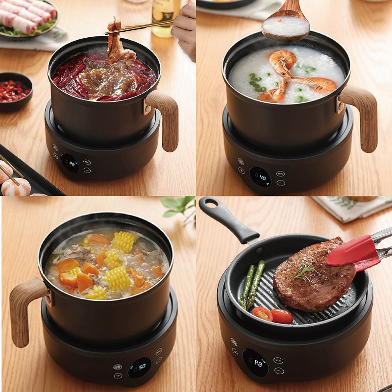 110V/220V Multi-function Elect - Camping Cooking Rice recension och pris